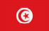TGM-enquêtes om geld te verdienen in Tunesië